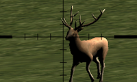 deer-hunter